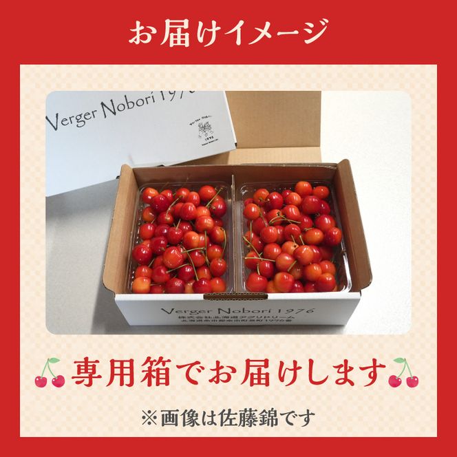 【2027年産 先行予約】＜北海道余市産＞さくらんぼ「佐藤錦」（M～2Lサイズバラ詰め）400g×2パック さくらんぼ 佐藤錦 サクランボ 人気さくらんぼ 佐藤錦 さくらんぼ_Y103-0070