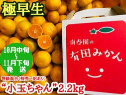【極早生・有田みかん】小玉ちゃん 約2.2kg (等級混合・2S～4Sサイズ混合)_ZF6018n