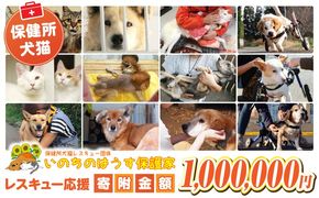 保健所犬猫レスキュー【返礼品なしのご寄附】