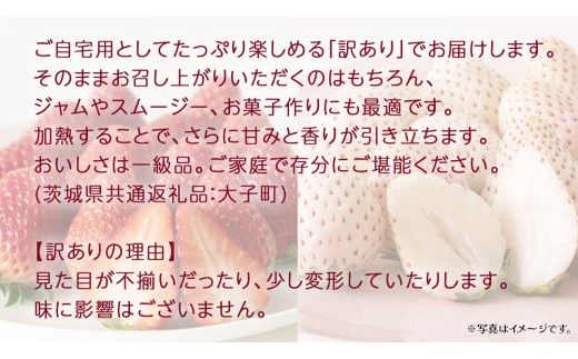訳あり 紅白いちご 1kg【2026年3月発送開始】(茨城県共通返礼品：大子町) 苺 果物 フルーツ 果実 ご家庭用 