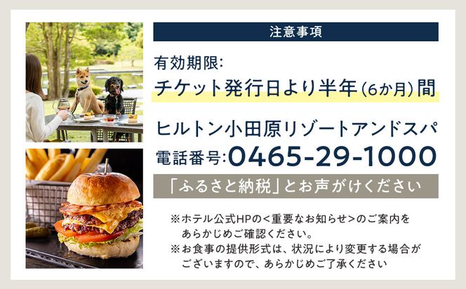 【チケット有効期限延長！】ブラッセリー「フローラ」ランチブッフェ招待券【ヒルトン ブッフェ　ブラッセリー「フローラ」 1組2名様 招待券 食事 肉 魚 野菜 デザート プレゼント 記念　旅行 ヒルトン小田原 ご褒美 神奈川県 小田原市 】 142069_BG002