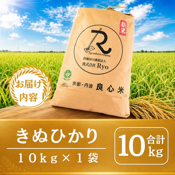 令和7年産 キヌヒカリ 10kg  京都丹波産 良心米 米 白米 ごはん