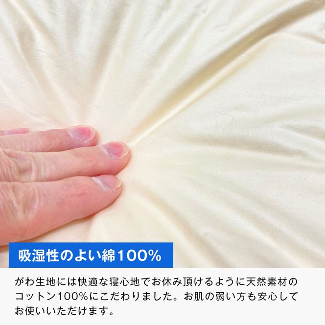 清潔掛ふとん 洗えるインビスタ ダクロン ２枚合わせ 日本製 SL ふわもち15TW