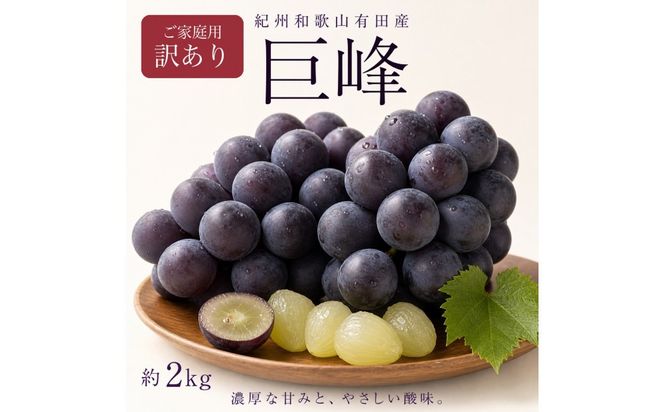 【ご家庭用】紀州有田産の巨峰ぶどう約2kg【先行予約】【2026年8月下旬以降発送予定】AN031
