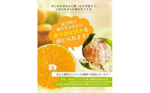 【先行予約】＼ 選べる容量 ／ 訳あり 極早生温州みかん 2S～3L サイズおまかせ 【2024年9月下旬から10月中旬までに順次発送】 / くだもの フルーツ 果物 大容量 家庭用 人気 みかん 蜜柑 わけあり 極早生みかん ごくわせ 数量限定【njb691_cho】