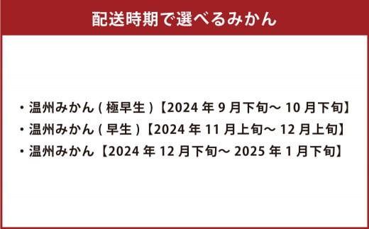 【先行受付】 特別栽培みかん 7kg サイズミックス 温州みかん みかん ミカン 蜜柑 フルーツ 柑橘 果物 果実 熊本県 上天草市【2024年12月下旬から2025年1月下旬発送開始】