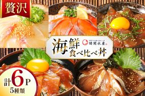 海鮮丼 漬丼 全5種 6食 セット [請関水産 宮崎県 日向市 452061674] ブリ マダイ マグロ サーモン カツオ 海鮮丼の具 海鮮丼セット 食べ比べ 冷凍 漬け丼 簡単 個包装 時短 お茶碗盛り