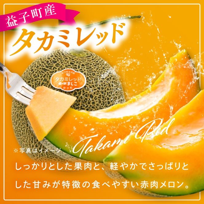 【先行予約】【数量限定】赤肉・青肉メロン食べ比べ2個セット｜タカミレッド＆タカミメロン｜高糖度・産地直送｜栃木県益子町 メロン プレゼント お中元 産地直送 赤肉 青肉　(AA045)