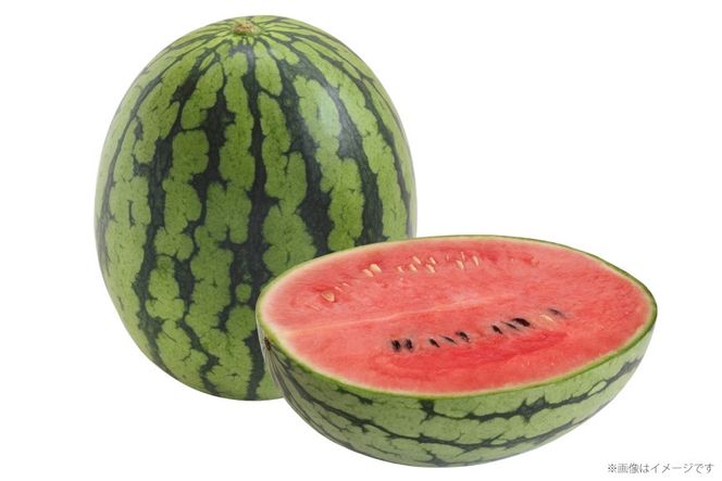 AJ645 【令和8年度出荷分】 島原スイカ倶楽部 小玉スイカ うり坊 3～5玉 計9～12kg [ 先行予約 数量限定 小玉 うり坊 スイカ 西瓜 フルーツ 果物 長崎 長崎県 島原市 ]