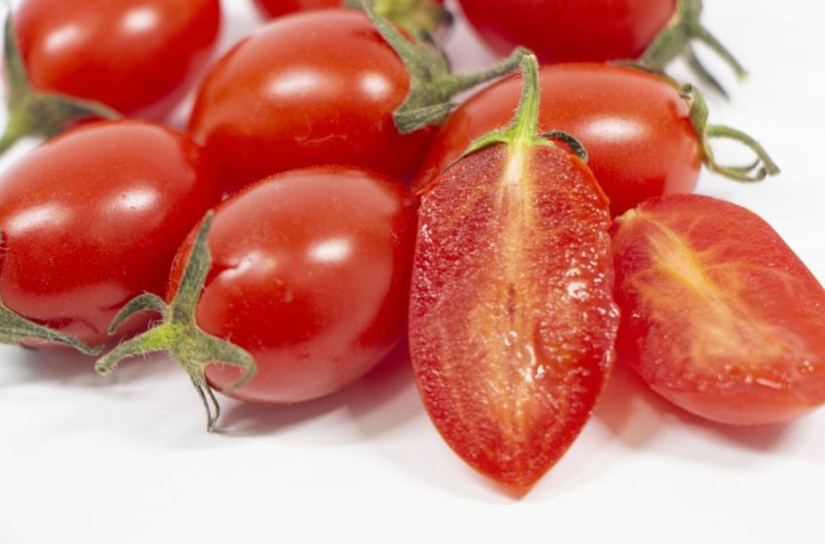 [4月発送]ミニトマトアイコ(松トマト) 約2kg(S・M・Lサイズおまか) [SL61] 303446_CG90039