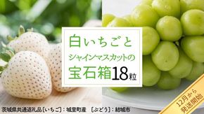 白いちご と シャインマスカット の 宝石箱 18粒 【12月から発送開始】（茨城県共通返礼品 [いちご]：城里町産　[ぶどう]：結城市） 果物 フルーツ いちご イチゴ 白苺 ぶどう マスカット ギフト プレゼント [BI344-NT]