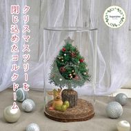 プリザーブドフラワー　レンヌ　春日部市　シュガーパイン(AJ265)