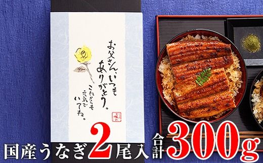 1161.【父の日用】国産うなぎ蒲焼き大サイズ2本セット(A1161-1) 