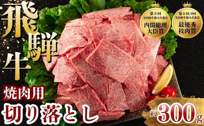 飛騨牛 焼肉 切り落とし 300g | 牛肉 肉 切落し 飛騨牛 訳あり 訳アリ わけあり ワケアリ 不揃い 冷凍 まるたか 食品 バーベキュー BBQ 家用 家庭用 岐阜 瑞穂市