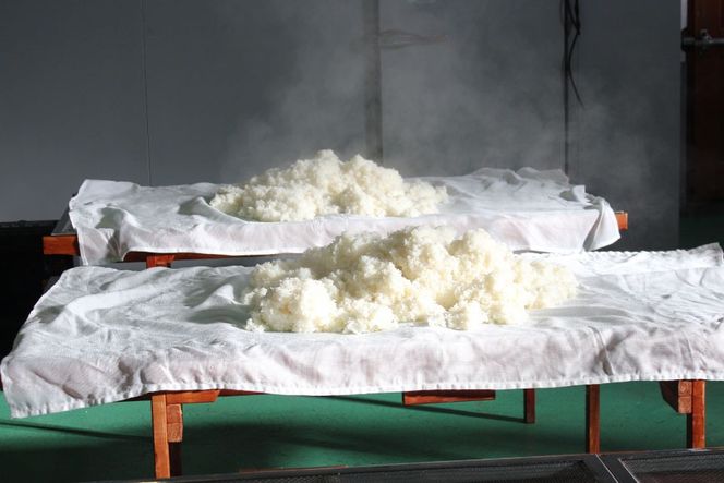 酒蔵見学 ランチ御膳付き 酒蔵プライベートツアー (1名様分) [晴雲酒造 埼玉県 小川町 397] 見学 ランチ付き ツアー 酒蔵