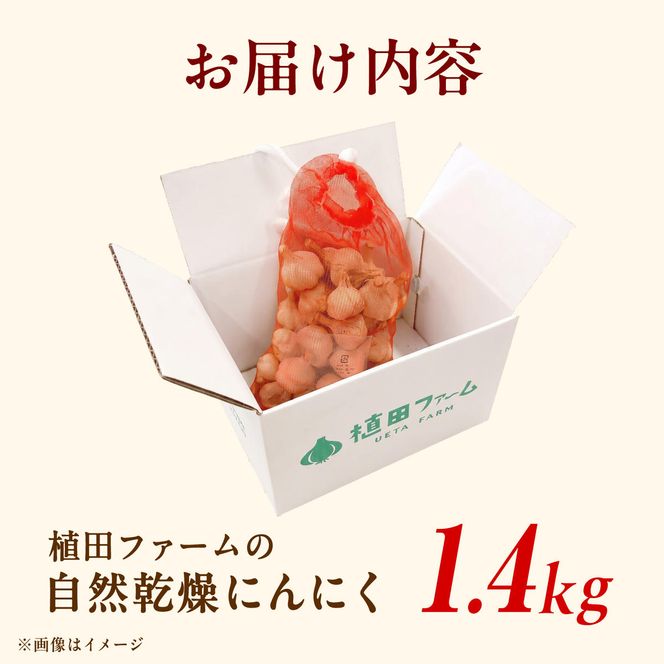 植田ファームの自然乾燥平戸にんにく約1.4kg  /ガーリック ニンニク 高知県 土佐市 【株式会社　植田ファーム】[BQAT023]