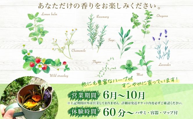 北海道 アロマ ウォーター 蒸留 摘みたて ハーブティー 体験2枚 ハーブ フレッシュ オリジナル ハーブ畑 天然 リラックス 癒し リラクゼーション ハーバルランチ 送料無料 洞爺湖 