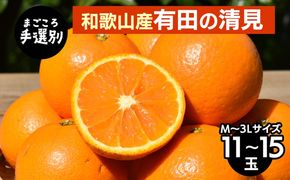 【まごころ手選別】和歌山産　有田の清見　11玉～15玉(M～3Lサイズ) 