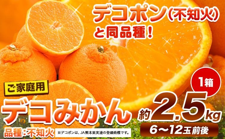 ご家庭用 デコみかん 約2.5kg 6〜12玉前後[2026年2月上旬-4月末頃出荷]デコポン(不知火)と同品種 熊本県産 熊本県 長洲町 訳あり---ng_dkmkn_af24_r7_7000_2500g---