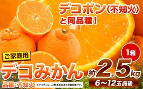 ご家庭用 デコみかん 約2.5kg 6～12玉前後《4月上旬-5月上旬頃出荷》デコポン（不知火）と同品種 熊本県産 熊本県 長洲町 訳あり---ng_cdkmkn_ad4_r8_9000_25k---