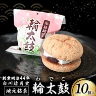 【地元銘菓】輪太鼓（わでこ）10個入（菓子 スイーツ 和菓子 ブッセ 餅 あんこ 銘菓 宮崎県）