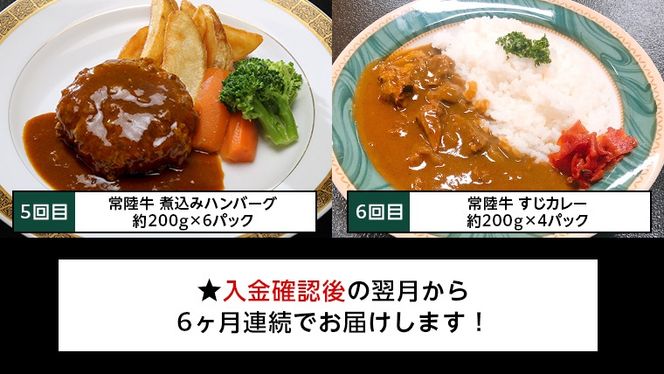 【茨城県共通返礼品】【定期便】 【6回コース】 常陸牛 食べ尽くし 定期便 （6ヶ月連続でお届け） 牛肉 黒毛和牛 国産 贅沢 ビーフシチュー ハンバーグ ローストビーフ 牛もつ ホルモン 簡単 お手軽 [AU035ya]