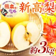 新高梨 約3kg（4～12玉）【梨 なし 果物 フルーツ デザート 食後 熊本県産】※配送不可：離島