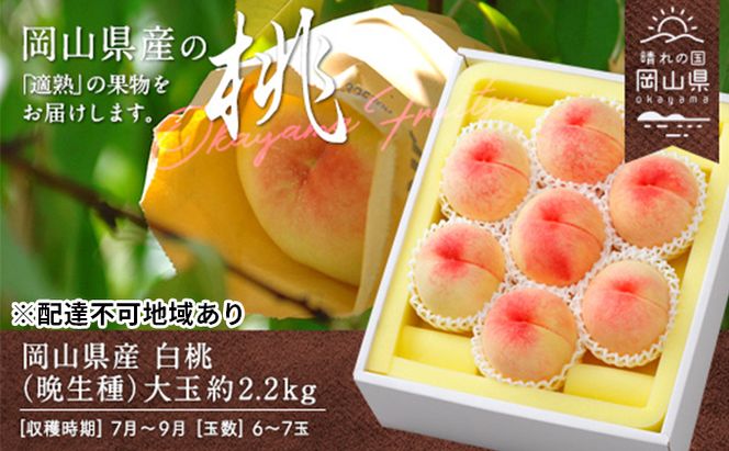 桃 2026年 先行予約 白桃 晩生種 大玉 約2.2kg 6～7玉 もも モモ 岡山県産 国産 フルーツ 果物 ギフト 