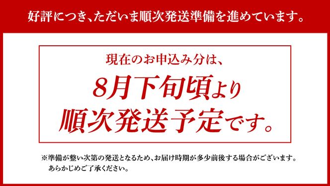 新宿 中村屋 レトルト 食べ比べ セット ( Bセット 17種 ) 人気 詰合せ 洋食 時短 カレー インドカレー ビーフカレー 欧風カレー 数量限定 贈答品 保存用 ストック用 非常用 老舗 電子レンジ 調理可 [DM002us] レンチン レンジ 