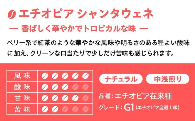 【自家焙煎】フルーティな味わい コーヒー 2種セット 糸島市 / 楽峰珈琲ロースター / コーヒー / セット[ALR001]