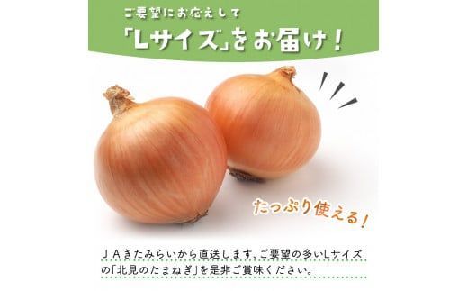 【隔月2回(10月・12月)定期便】JAきたみらいから直送する新鮮玉ねぎ 10kg L玉 ( 野菜 定期便 玉葱 たまねぎ 期間限定 )【999-0006-2026】