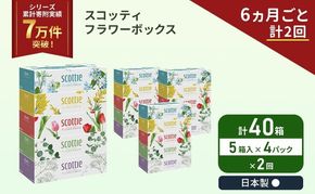 定期便 ティッシュ スコッティ フラワーボックス 40箱 ( 5箱 × 4パック )《 6ヶ月ごと 計  2 回 》 