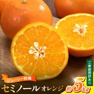 【2027年先行予約】【ご家庭用訳あり】ジューシー柑橘 セミノールオレンジ 約5kg_G7374