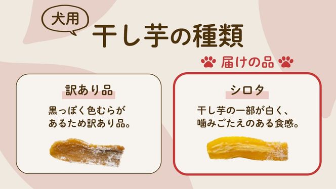 犬のおやつ 国産 干し芋 シロタ 800g (100g × 8袋) 送料無料 保存料不使用 訳ありドックフード 国産手作り さつまいも 人気 少量 個包装 栄養 効能 犬 わんちゃん 訳あり小袋 ドックフード 小分け マツコの知らない世界 [EA17-NT]