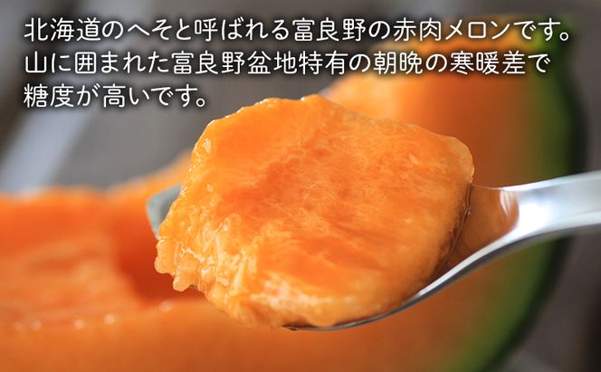 2026年夏～発送 富良野を堪能！贅沢 定期便 年3回  北海道 富良野産 とうもろこし メロン かぼちゃ 野菜 ふらの とうきび