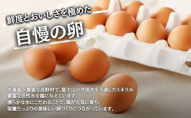 【定期便】忍野の平飼い放牧卵　6か月連続定期便（毎月30個×6か月　合計180個）　KC011