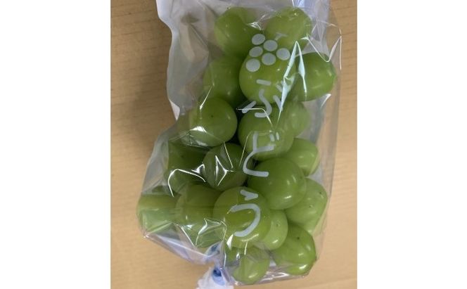 ぶどう シャインマスカット 2房 ゴルビー 2房 食べ比べ 約2kg 配送不可 離島 果物類 フルーツ 果物 
