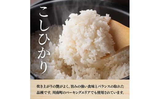 【訳あり】【令和6年産】永友農園産「こしひかり（2番米）」15kg(5kg×3) 【 米 お米 白米 精米 国産 宮崎県産 コシヒカリ 】[D10615]