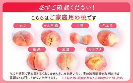 ◆2026年夏発送◆＜産直・家庭用桃・約5kg＞ ※北海道・沖縄・離島への配送不可 ※2026年7月上旬～9月上旬頃に順次発送予定｜先行予約 予約 桃 もも モモ 果物 くだもの フルーツ 訳あり 家庭用 詰め合わせ 福島 ふくしま