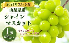 【2027年　先行予約】山梨県産　シャインマスカット1房（500g以上） GA004