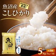 【令和8年産 先行予約】無洗米「3カ月定期便」食味鑑定士厳選！５ｋｇ×３回 白米 安心 安全 こだわり 米 コシヒカリ 定期 新潟県 十日町市