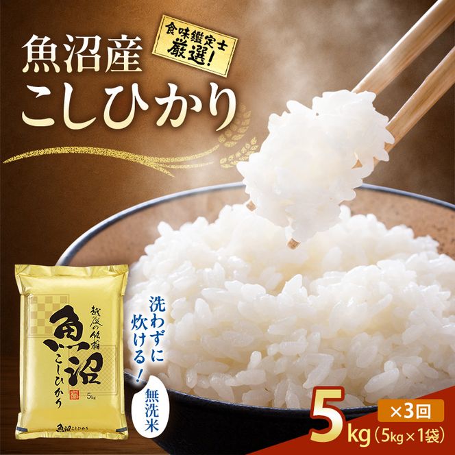 【令和8年産 先行予約】無洗米「3カ月定期便」食味鑑定士厳選！５ｋｇ×３回 白米 安心 安全 こだわり 米 コシヒカリ 定期 新潟県 十日町市
