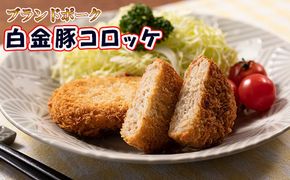 ブランドポーク白金豚コロッケ　10個セット 【348】