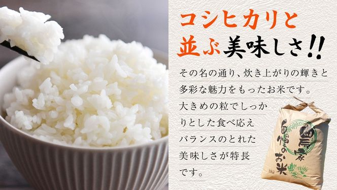 y錧΂݂炢sz_ Iׂ鐸ĕ@Ee ^  V  ߘa7NY 錧Y ɂ̂߂ 5kgi 5kgE10kg /  5kgjy2025N9{蔭Jnz Y Y 錧Y ΂݂炢s     ͂   Sn  