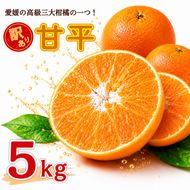 【先行予約：2027年2月中旬～発送】 訳あり 甘平5kg みかん 蜜柑 mikan 甘平 ポンカン 高級 人気 ブランド 柑橘 果物 フルーツ 甘い おいしい お取り寄せ 産地直送 農家直送 国産 特産品 中山農園 愛媛県 愛南町