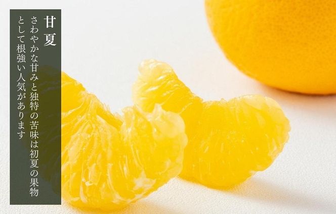 訳あり それでも 甘夏 箱込 2.5kg (内容量約 2.3kg)  サイズミックス 産地直送 家庭用 皮むき器付き［みかんの会］ AX260