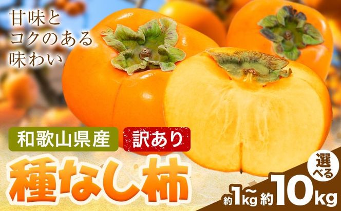 家庭用 種なし柿 選べる 約1kg 約2.5kg 約5kg 約7.5kg 約10kg 訳あり 池田鹿蔵農園《10月上旬-12月上旬頃出荷》和歌山県 日高町 刀根早生柿 平核無柿 ひらたねなしかき カキ 種なし柿---wsh_idn371_10j12j_26_7000_1kg---