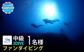 【恩納村ラグーン】ファンダイビング 中級 3DIVE 1名様