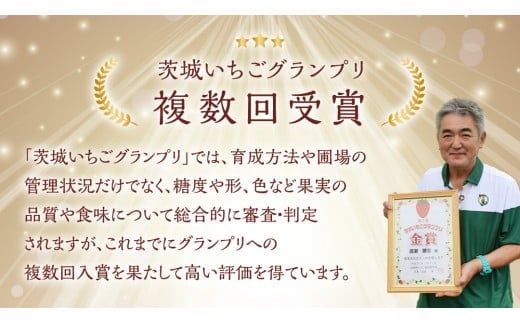 【 茨城いちごグランプリ 受賞 農園 】 完熟 いちご 2品種 食べ比べ セット 茨城県オリジナル品種 イチゴ 苺 フルーツ 果物 果実 いばらキッス ひたち姫 [DY002ci]