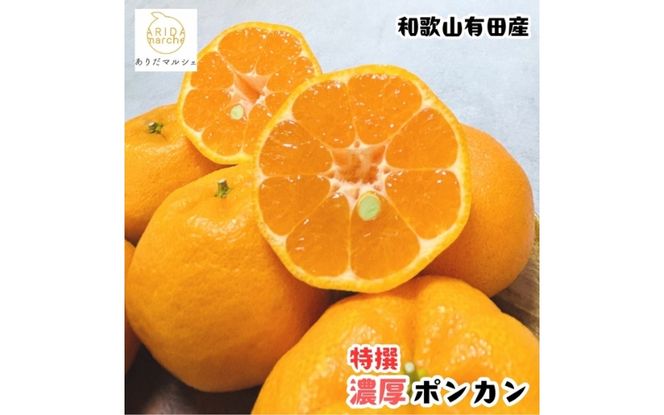 【先行予約】極甘 柑橘 特撰 濃厚 ポンカン 約3kg+200g(傷み補償分)※2027年1月上旬～3月上旬に順次発送 ※北海道・沖縄・その他離島地域は発送不可【ard243A】